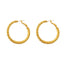 Irregular Hoop Earrings